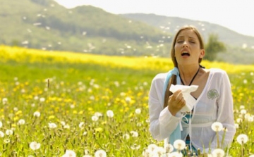 Pollenhelyzet - ÁNTSZ: több allergén virágzása erősödhet a napokban