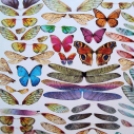 Leselejtezett számítástechnikai alkatrészekből készít gyönyörű szárnyas rovarokat