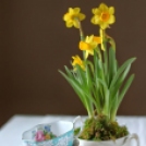 Tavaszváró virágpompa a lakásban – 65 káprázatos ötlet