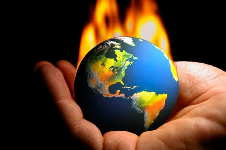 Megmentené a fajok többségét, ha a globális felmelegedés 1,5 Celsius-fokra korlátozódna