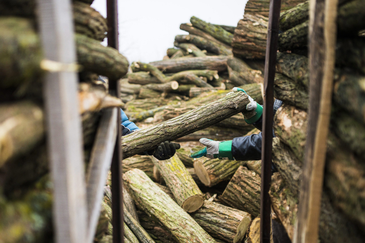 Sok az átverés az online tűzifa vásárlásokkor