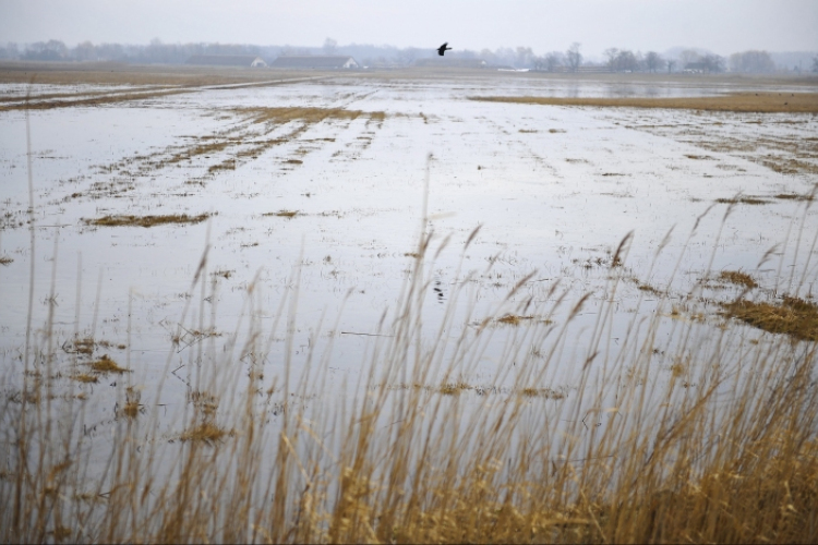 Már hatvanötezer hektárt öntött el a belvíz 