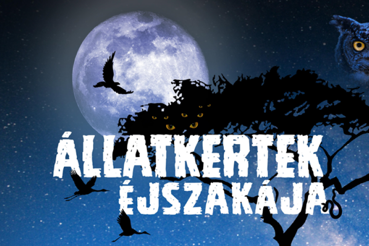 Kulturális és szórakoztató programok is lesznek az Állatkertek éjszakáján