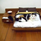 25 eszméletlen jó bútor gazdiknak és macskáiknak