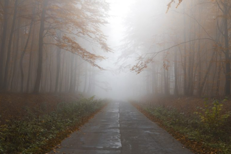 Így induljon útnak a párás, ködös őszi reggeleken