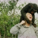 Megható képek a világhírű csimpánzkutató életéből